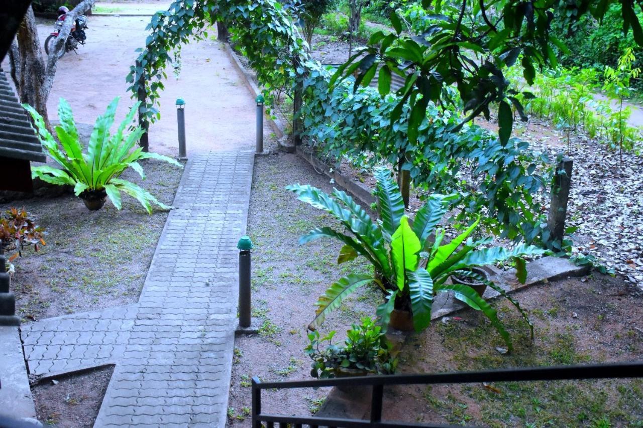 Wild Heaven Udawalawe Hotel Ngoại thất bức ảnh