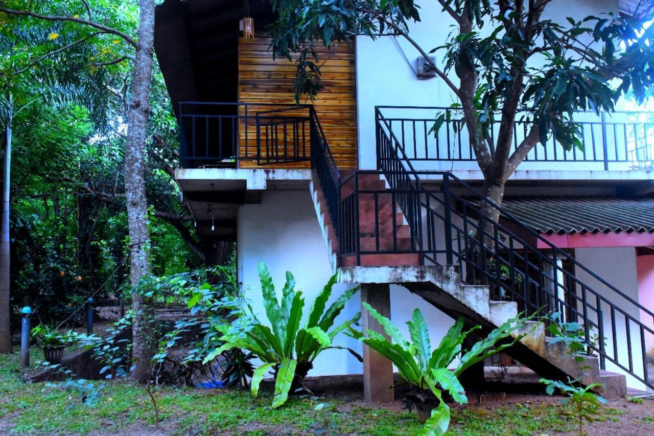 Wild Heaven Udawalawe Hotel Ngoại thất bức ảnh