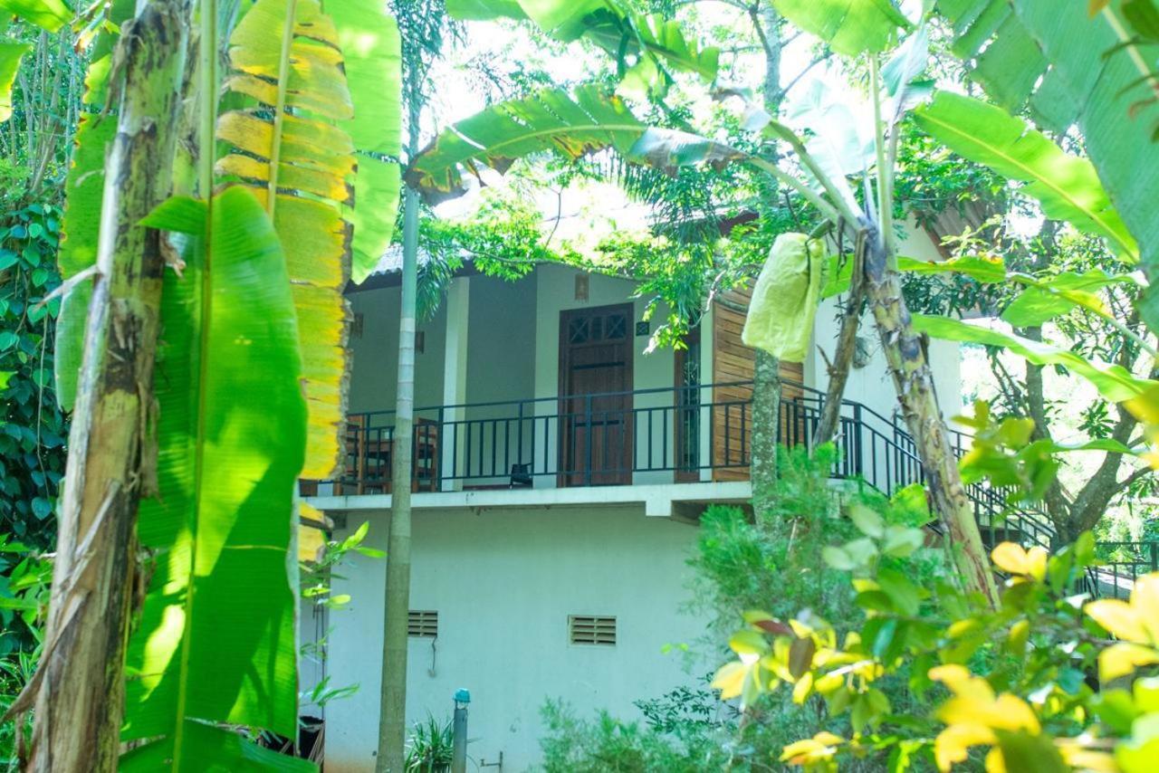 Wild Heaven Udawalawe Hotel Ngoại thất bức ảnh