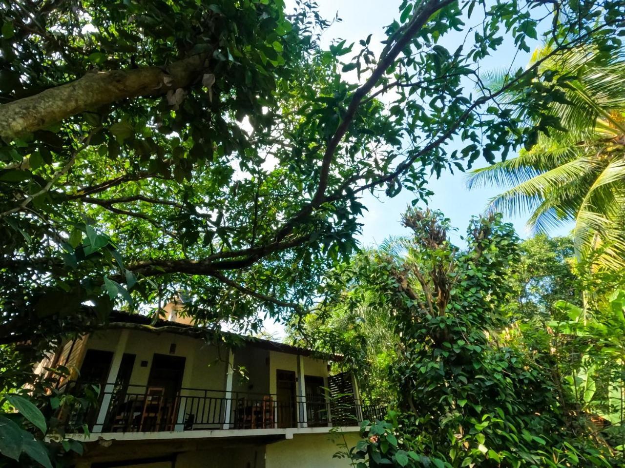 Wild Heaven Udawalawe Hotel Ngoại thất bức ảnh