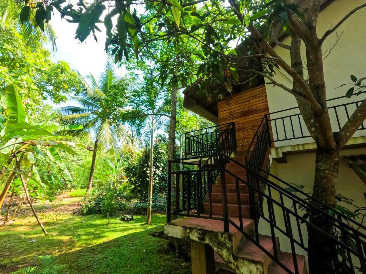 Wild Heaven Udawalawe Hotel Ngoại thất bức ảnh