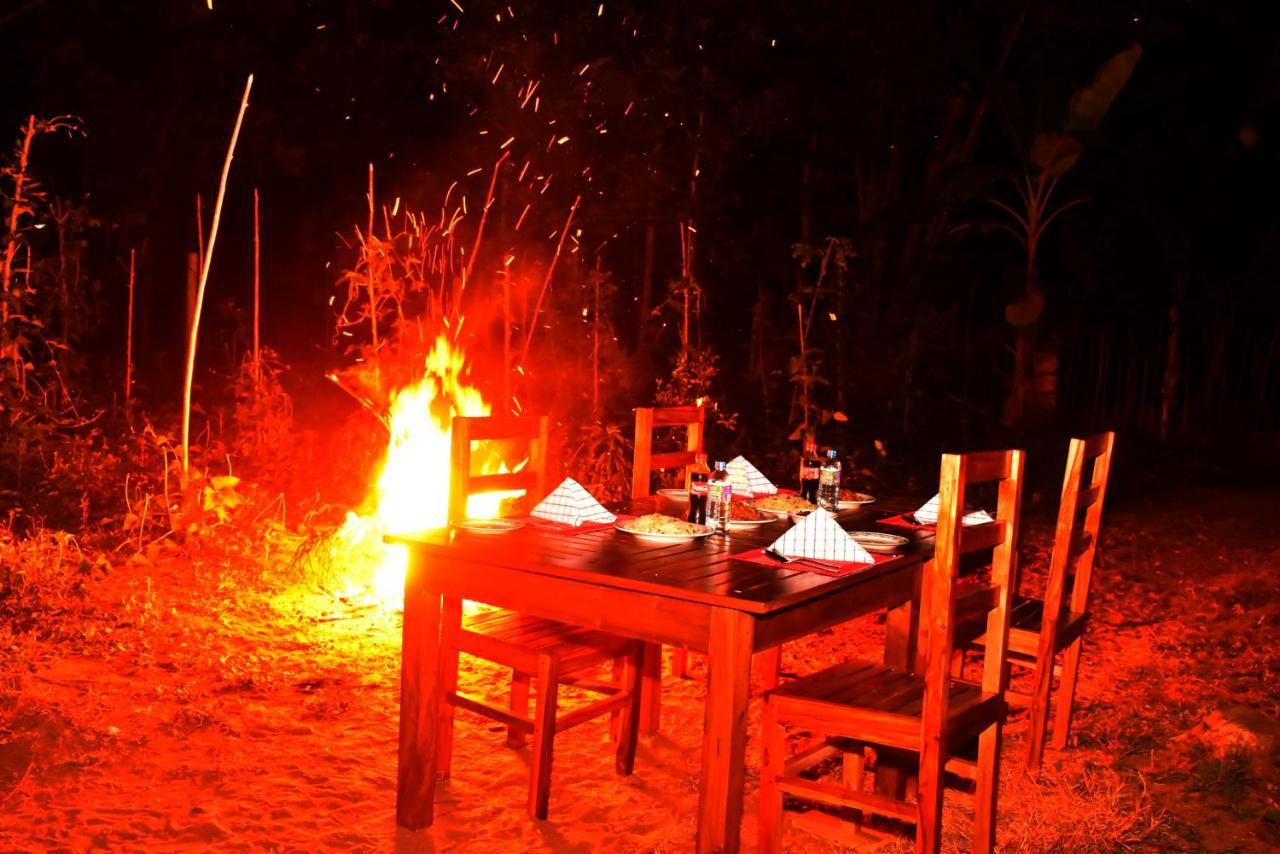 Wild Heaven Udawalawe Hotel Ngoại thất bức ảnh